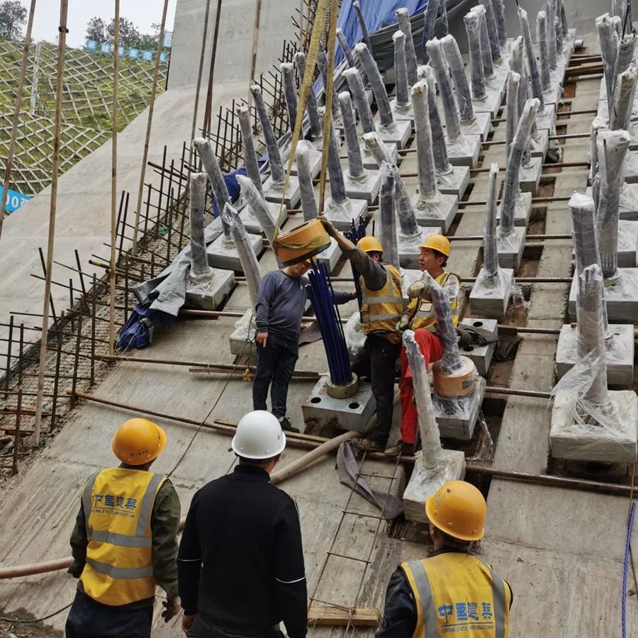 Largest span public-track dual-purpose suspension bridge successfully closed.